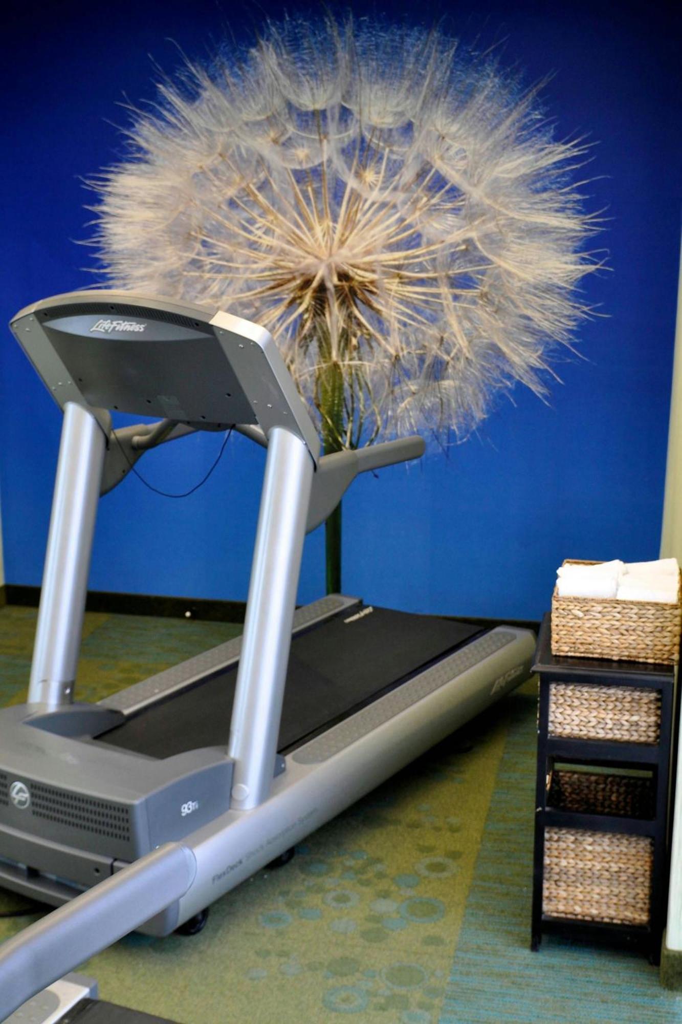 Springhill Suites Galveston Island Esterno foto